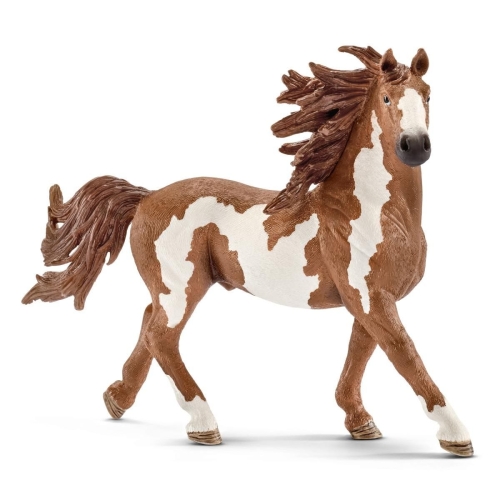 Schleich 13794 Semental Pinto