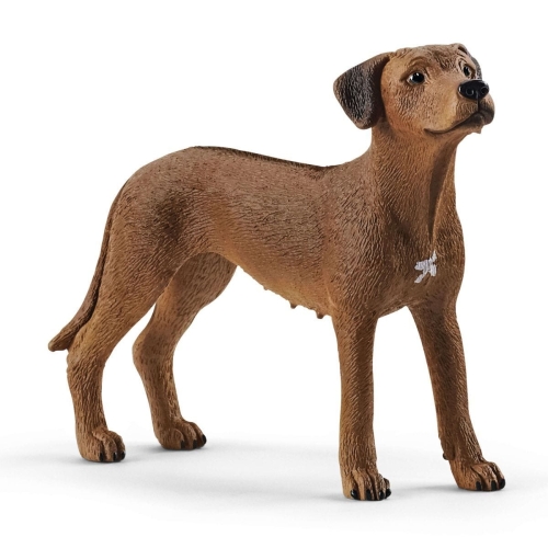 Schleich 13895 Ridgeback de Rodesia