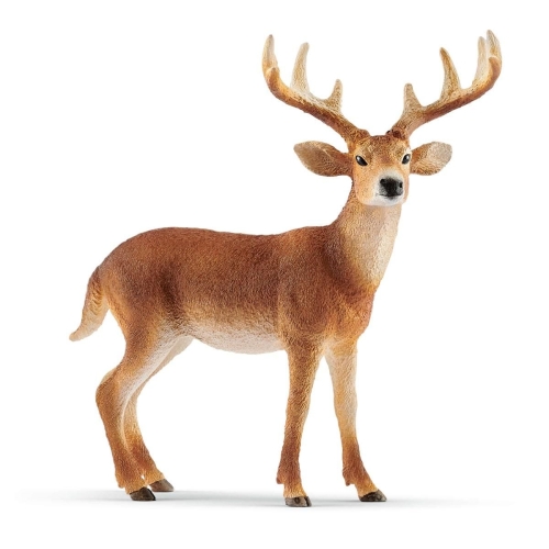 Schleich 14818 Venado cola blanca