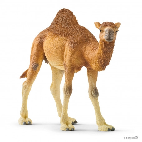 Schleich 14832 Dromedario