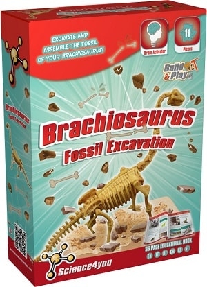 Excavación del Brachiosaurus de Science4you