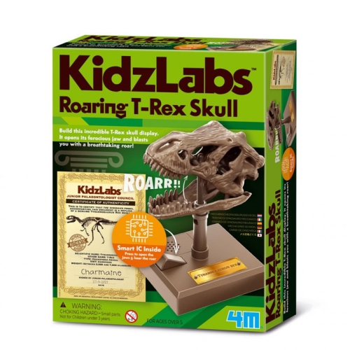 4M Kidzlabs Cráneo T-Rex rugiente