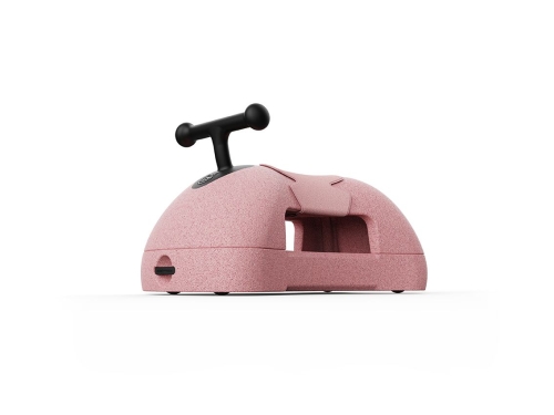Scoot and Ride Mi primera rosa